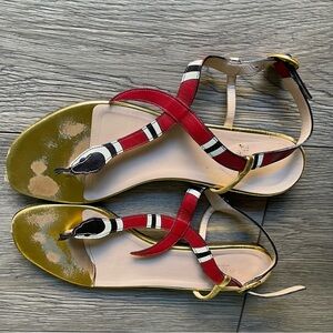 Gucci sandals with snake detailing.